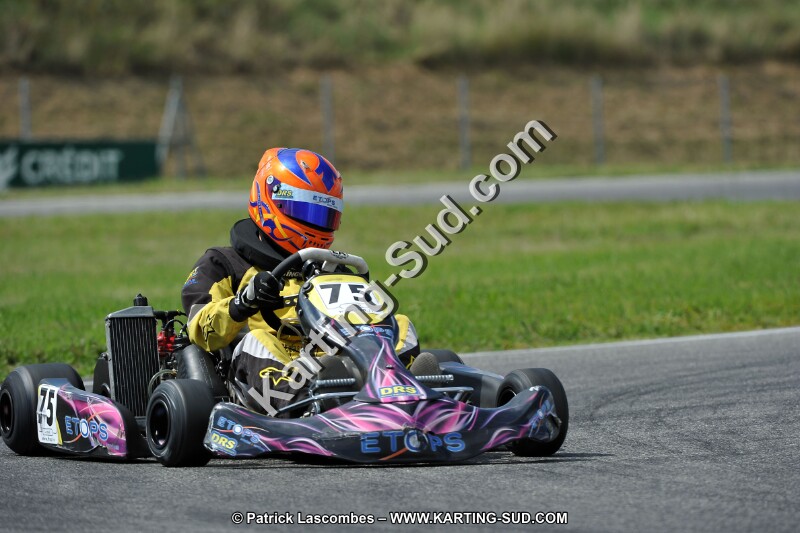 DSC_ (481).jpg